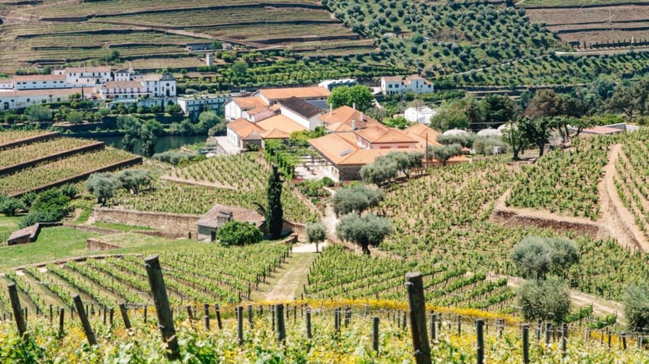 Quinta da Roêda
