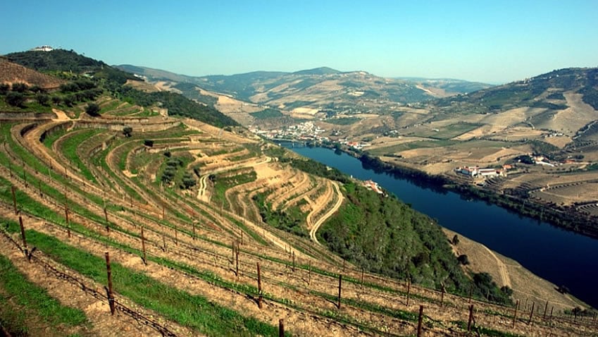 Quinta das Carvalhas; Douro Wine Tour