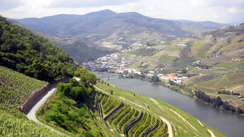 Quinta das Carvalhas - Vista