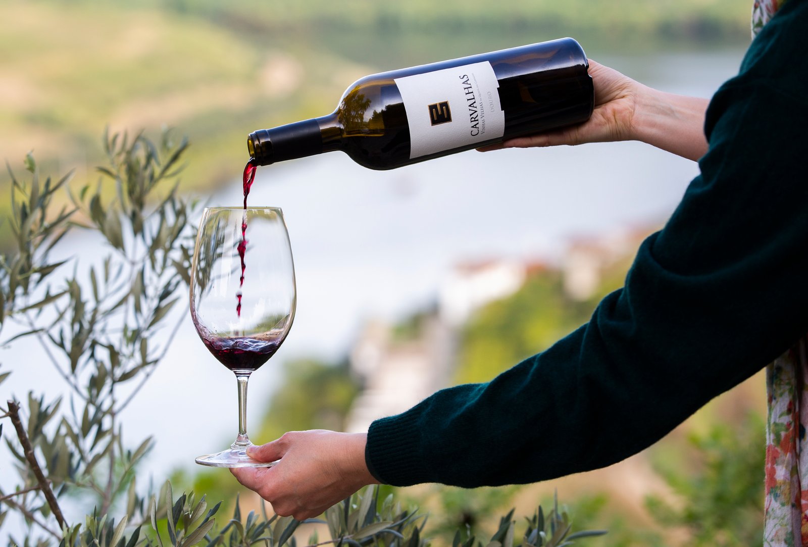 10 Top-Rated Wineries in Douro Portugal, Quinta das Carvalhas Wine
