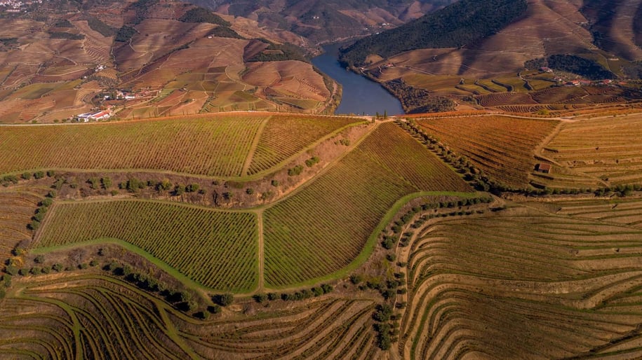 Quinta das Carvalhas