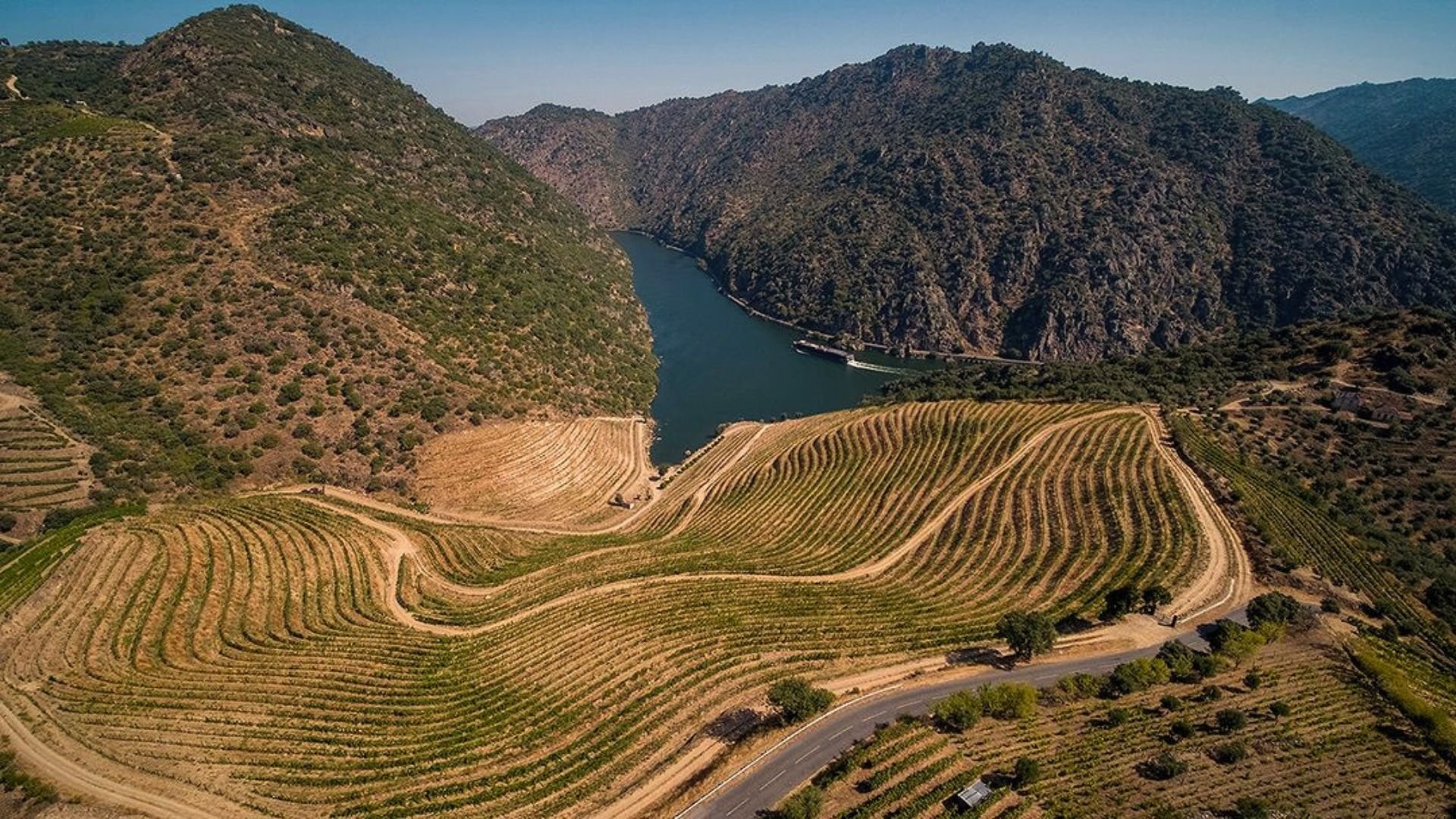 Quinta de Ventozelo - Douro View