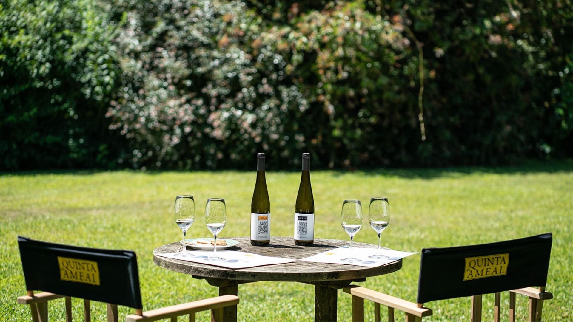 Quinta do Ameal - Wine Tasting