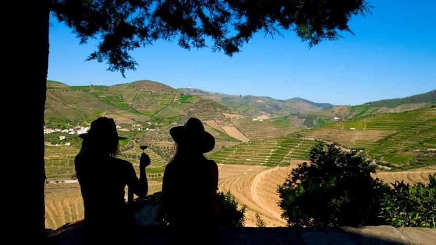 Quinta do Seixo; Picnic Douro