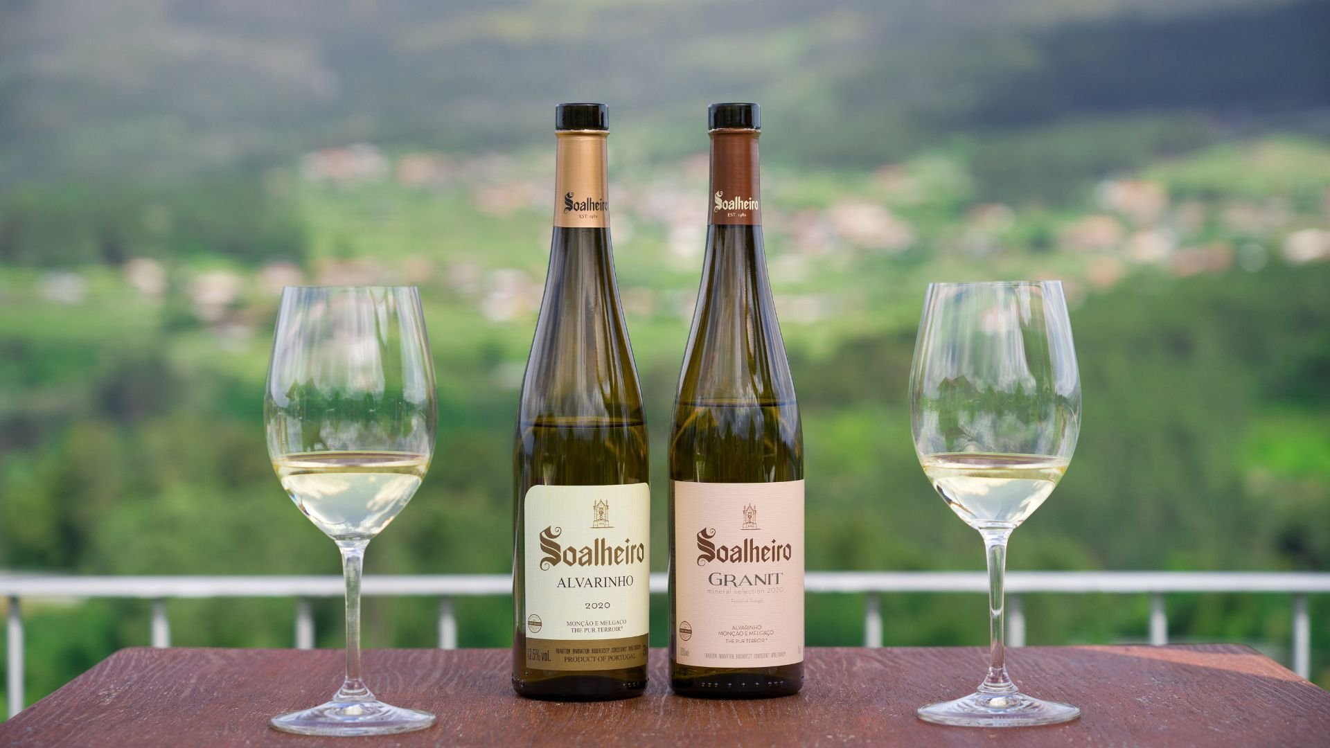 Quinta do Soalheiro - Wine Tasting