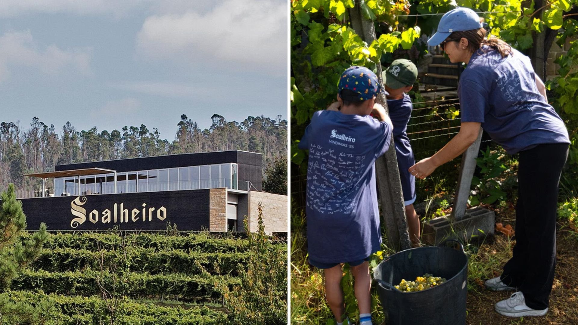 Quinta do Soalheiro