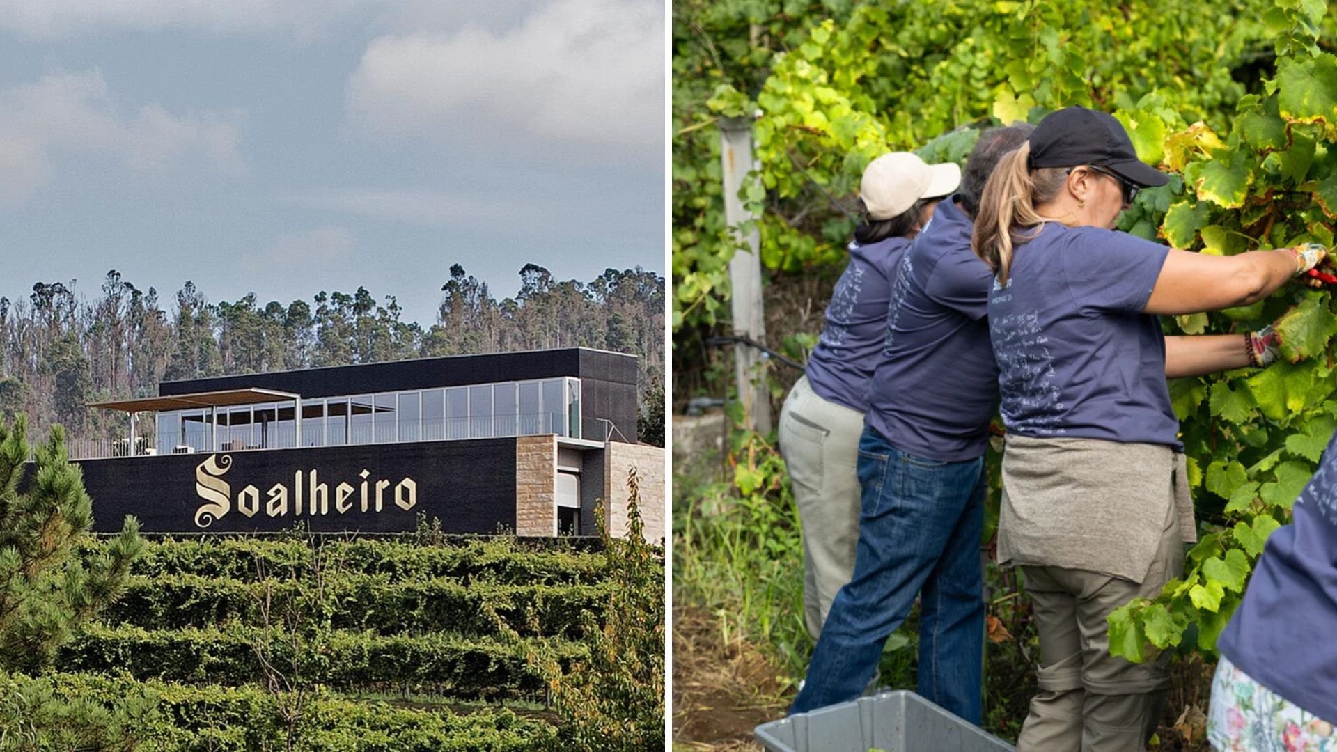 Quinta do Soalheiro
