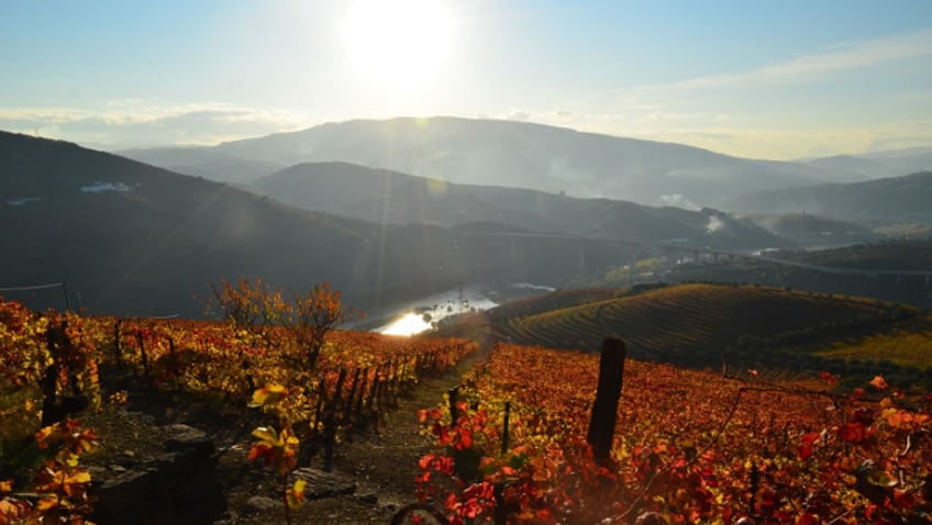 Quinta do Vallado; Fall Tour Portugal; Douro Tour