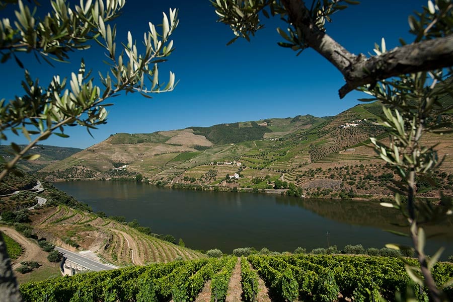 Quinta-do-Seixo_Douro-Vista-Panoramica-2