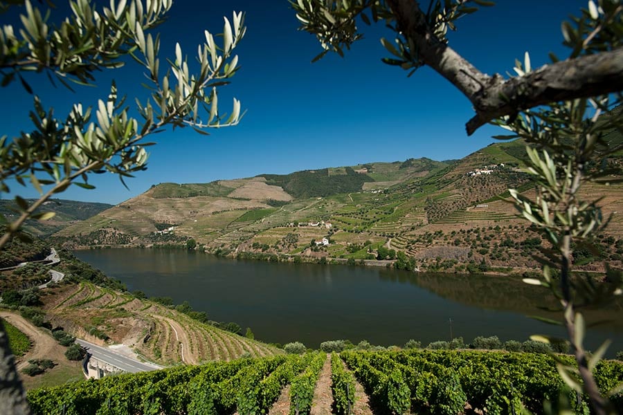 10 Top-Rated Wineries in Douro Portugal, Quinta do Seixo