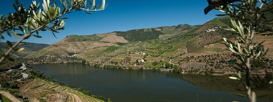 Quinta-do-Seixo_Douro-Vista-Panoramica-3