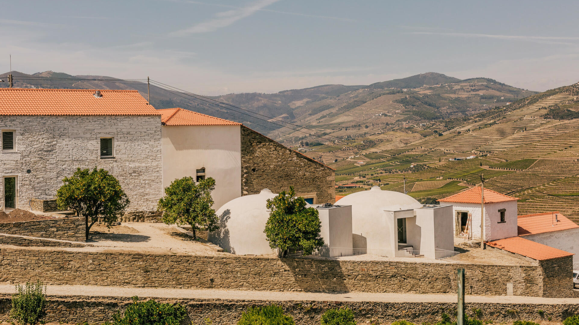 QuintadoVentozeloHarvest