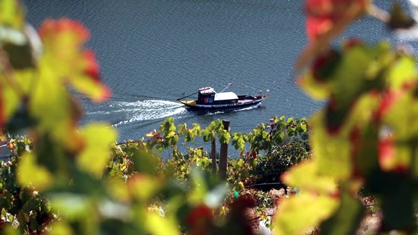 Rabelo Boat Douro River Cruise