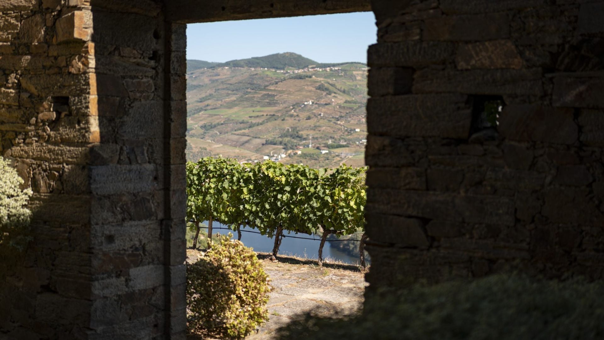 Ruin with a View - Picnic - Quinta das Carvalhas