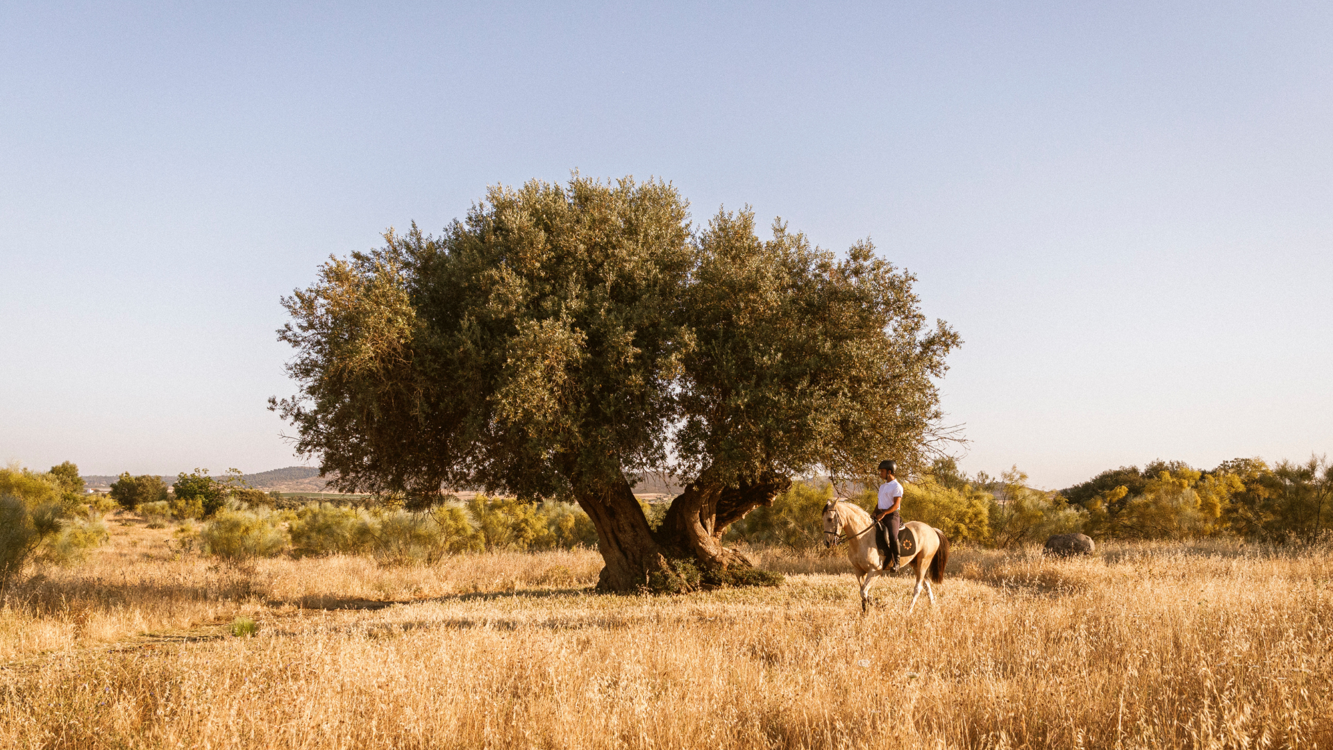 SAOLOURENCODOBARROCALHORSEBACK