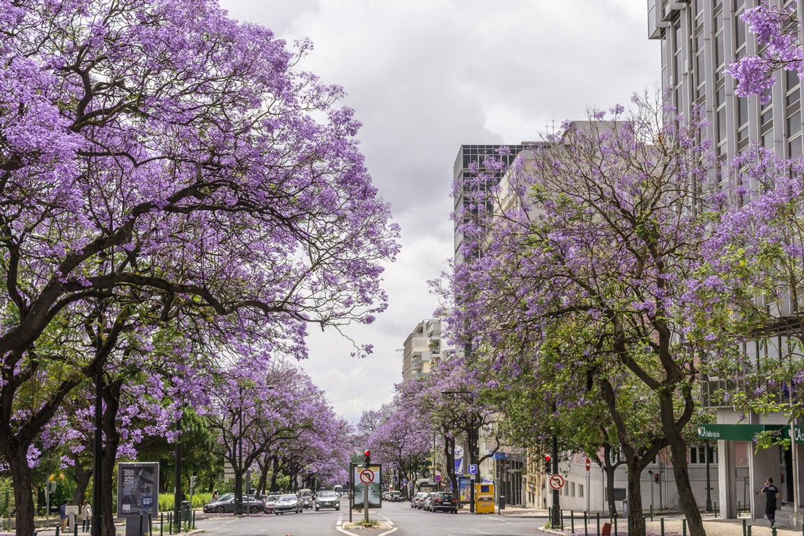 Spring-Travel-Lisbon-Streets-Portugal