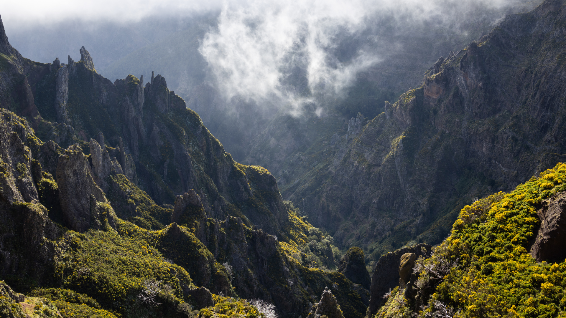 Pico do Arieiro Stargazing: A clear night sky at Pico do Arieiro, Madeira, showcasing constellations and the Milky Way.