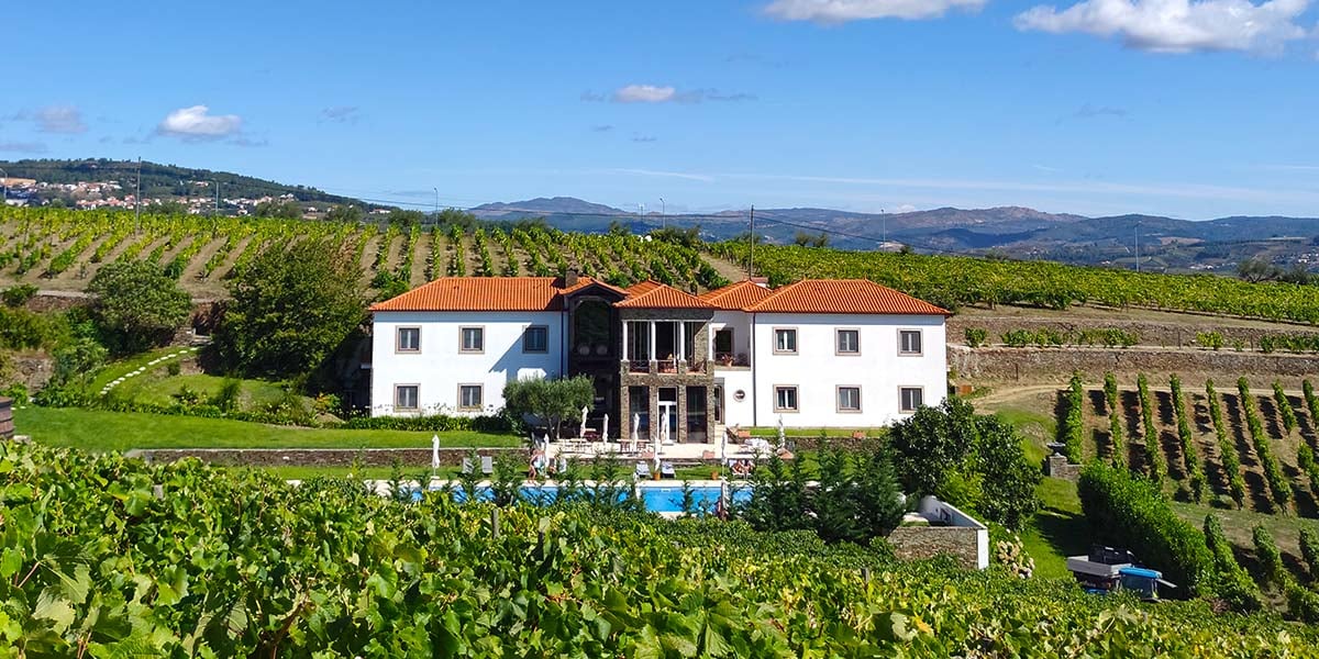 The Best Places in Portugal for Wine Lovers