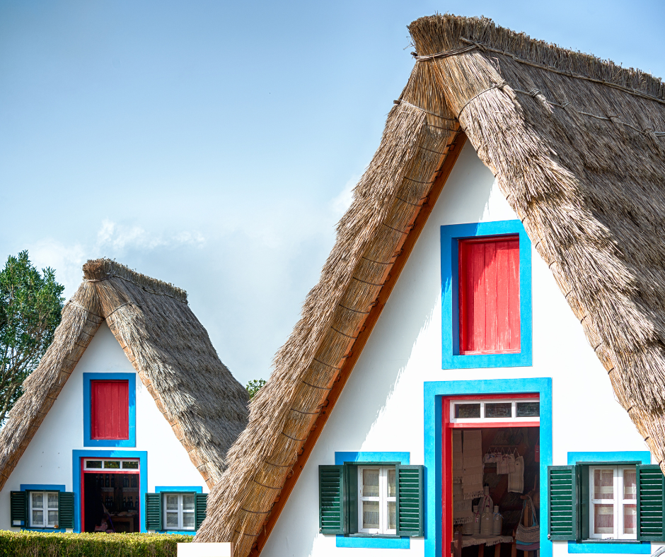 Captivating scene of Santana village on Madeira Island. Traditional triangular thatched-roof houses, known as 'palheiros,' stand amidst lush green hills. The vibrant houses contrast beautifully with the verdant landscape, offering a glimpse of the charming rural life on the island.