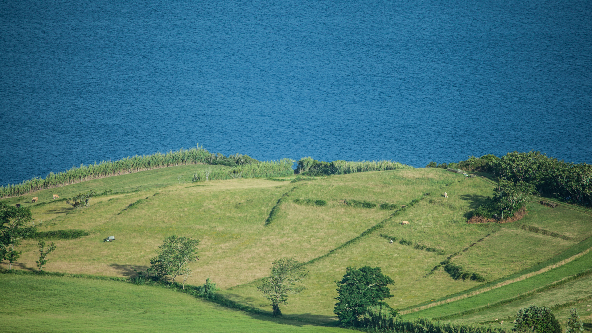 Unveiling the Azores Where Adventure Meets Wine (7)