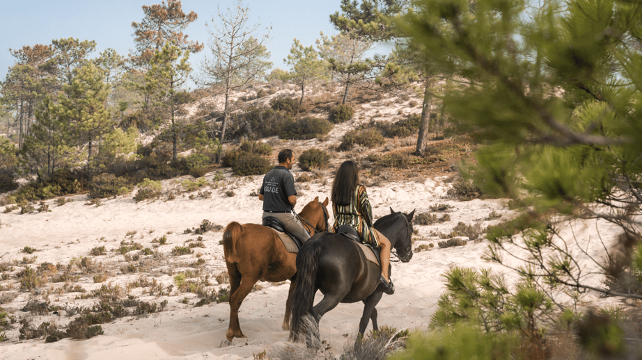 Valentine’s Day in Portugal A Romantic Escape Like No Other (8)-1