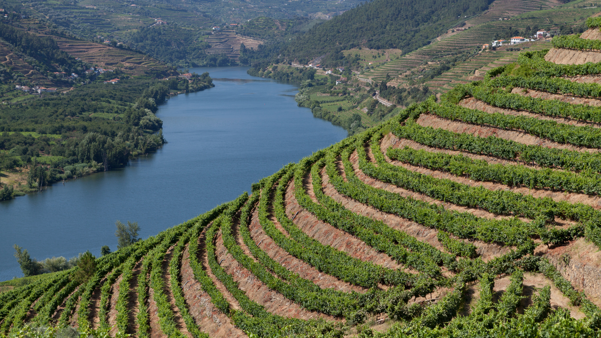 10 Top-Rated Wineries in Douro Portugal, douro Valley