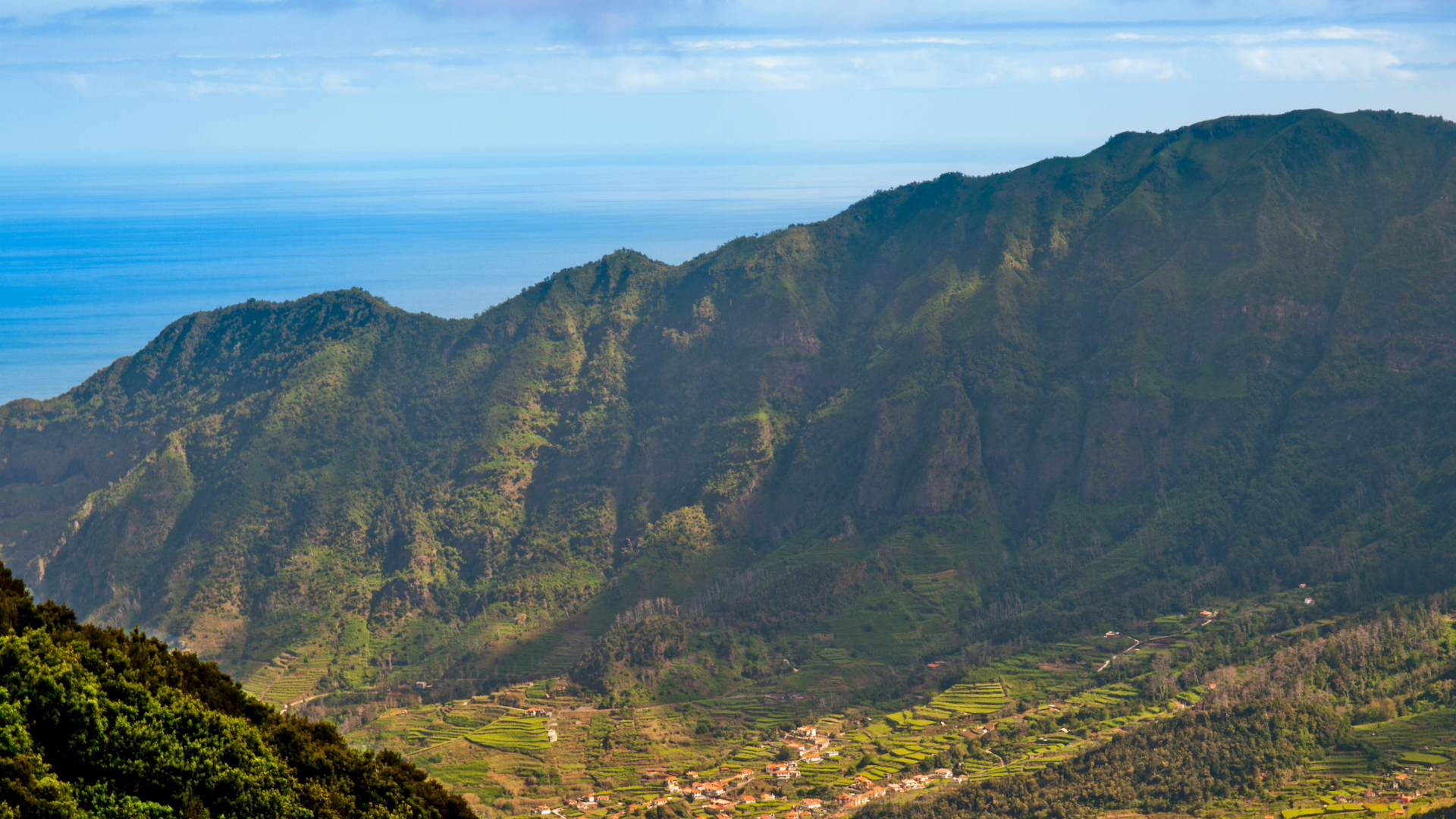 Why Madeira Portugal Should Be Your Next Wine Destination (5)