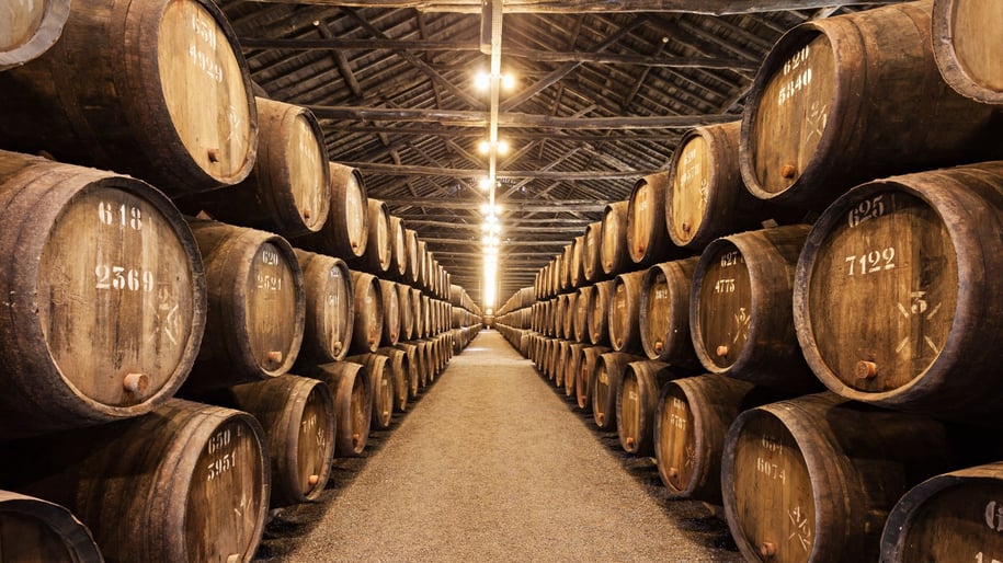 Wine Cellar Porto