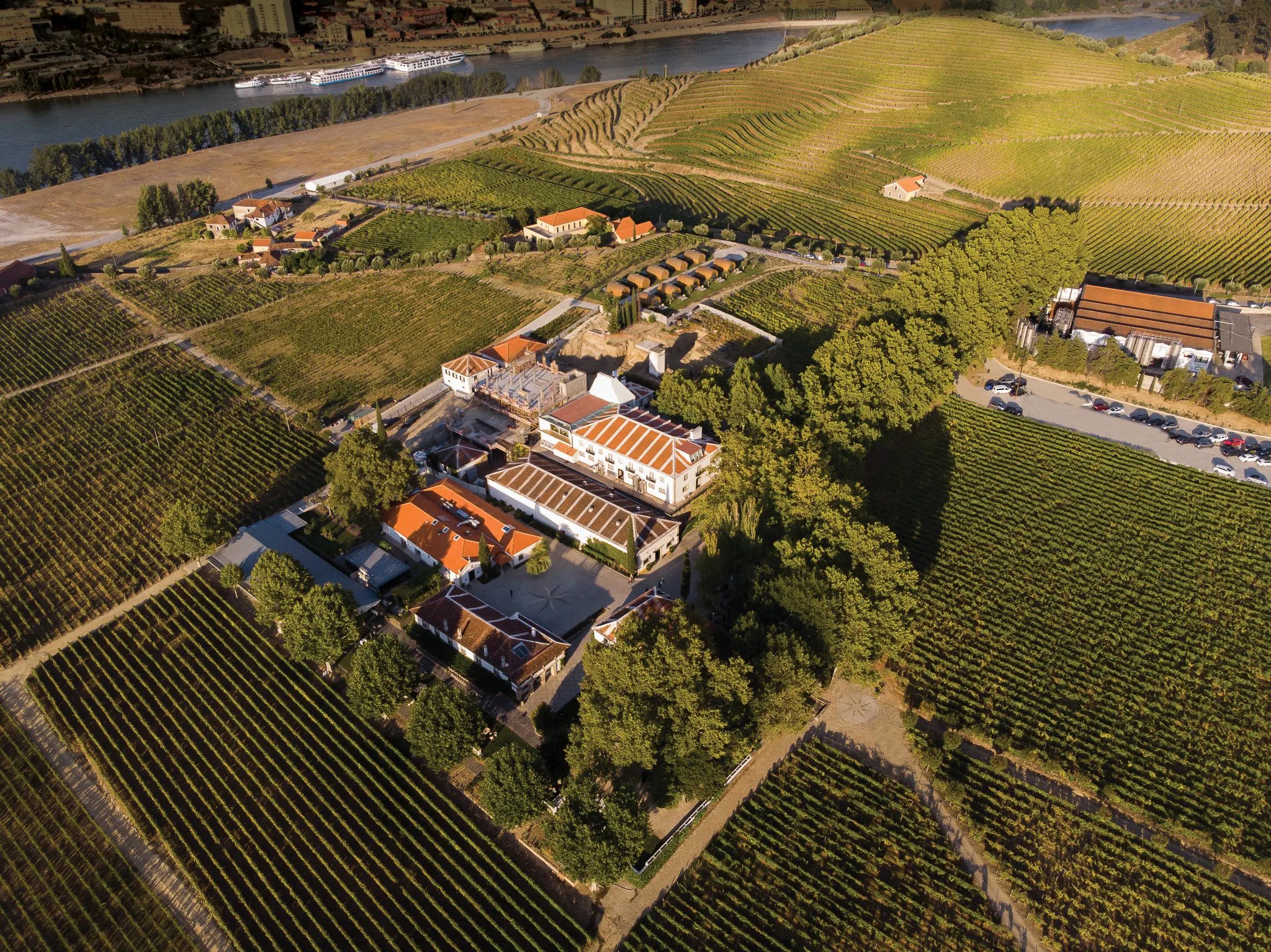 Winery of the Week: Quinta da Pacheca 