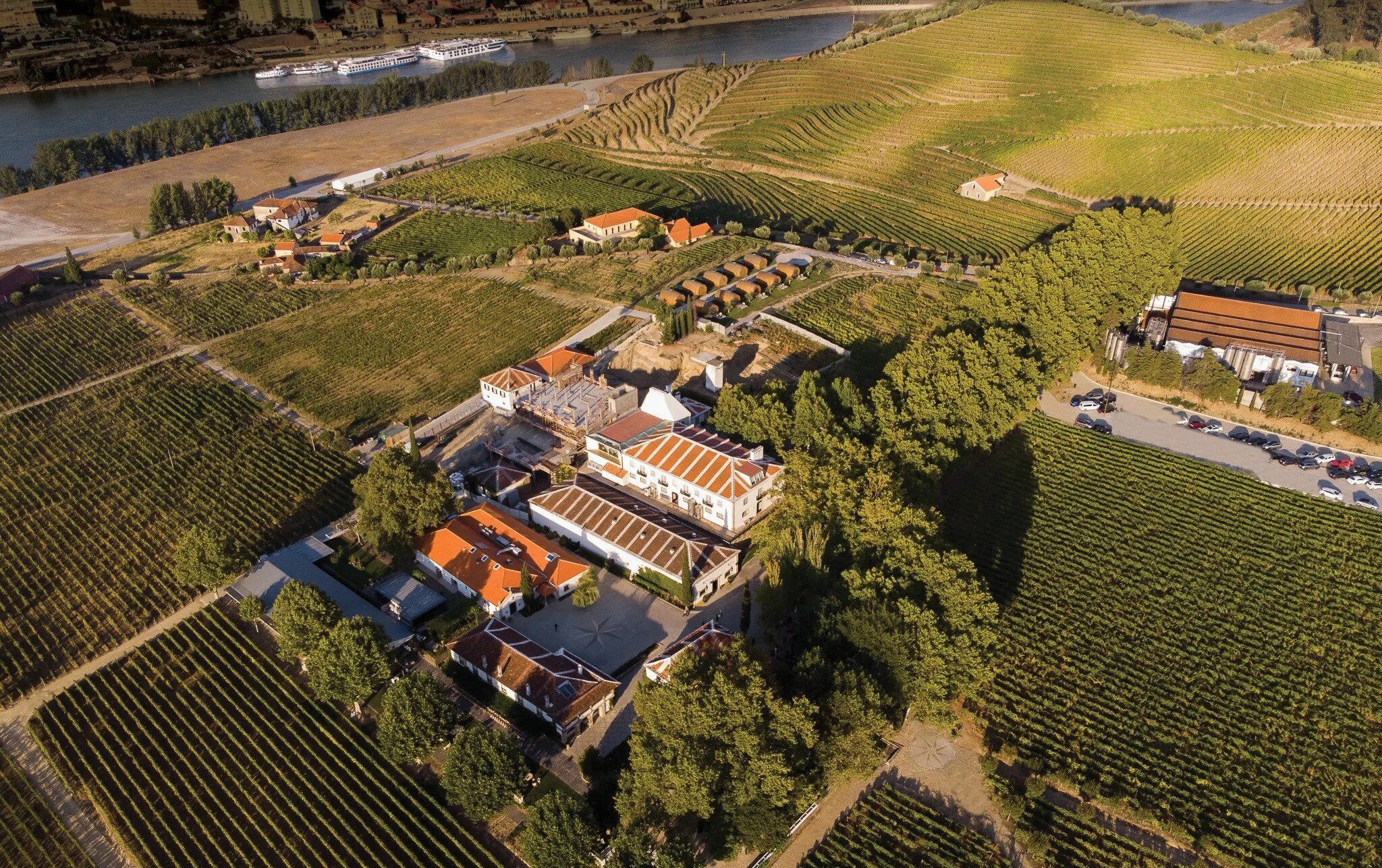 Winery of the Week Quinta da Pacheca