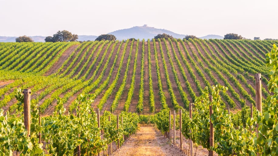 Alentejo