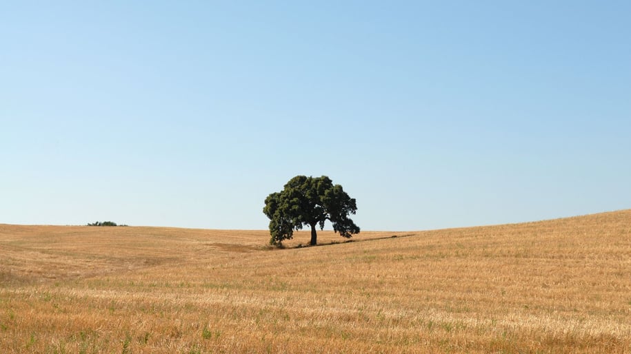 Alentejo