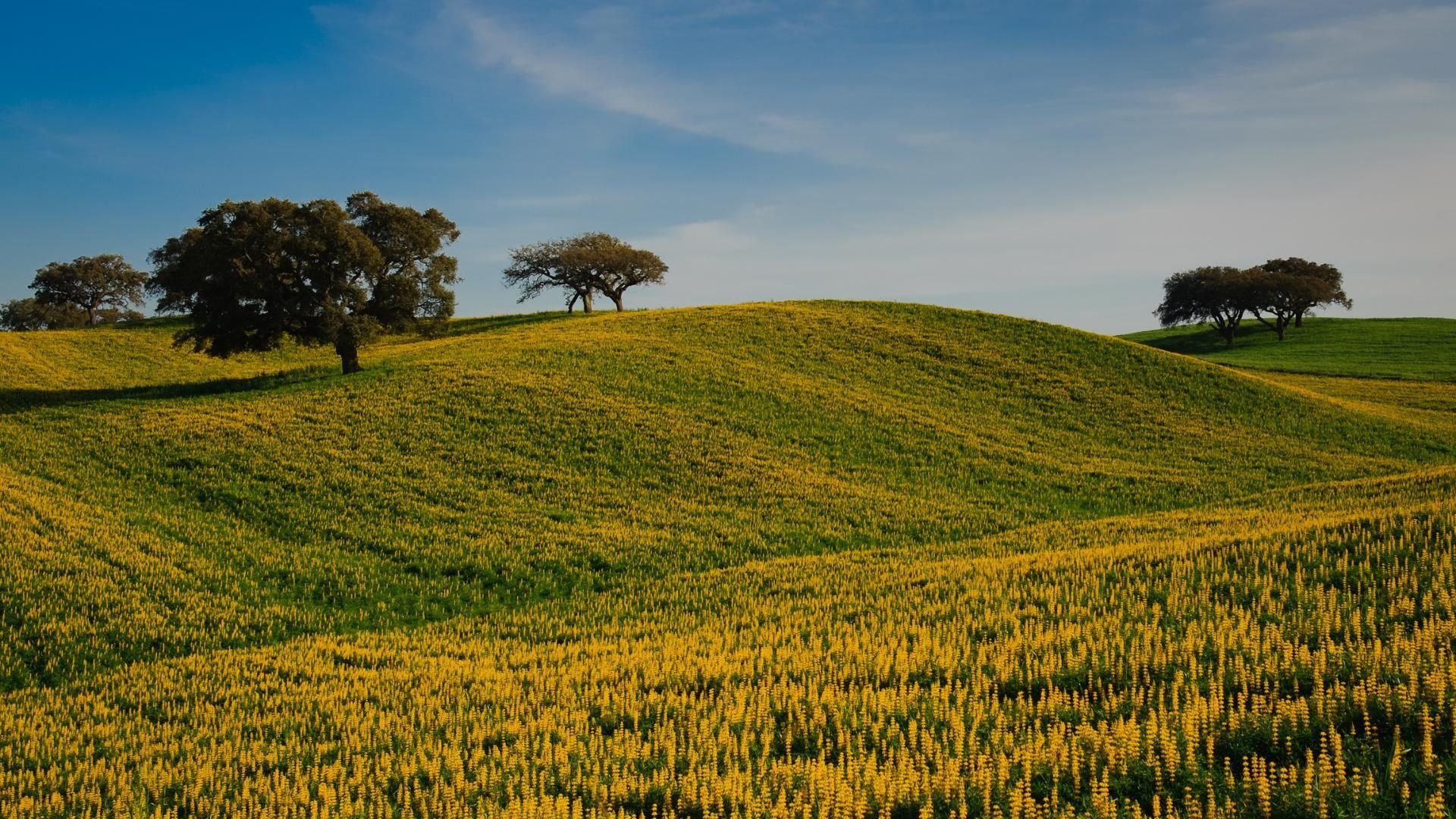 Alentejo