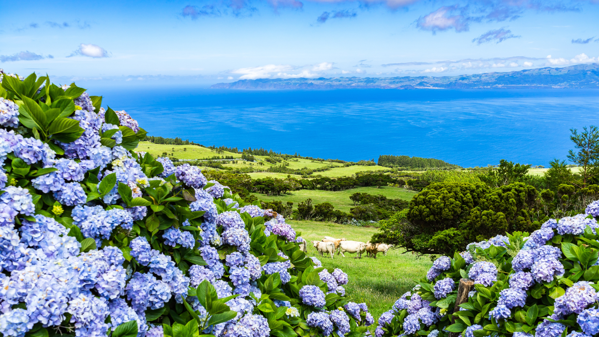 Azores Portugal