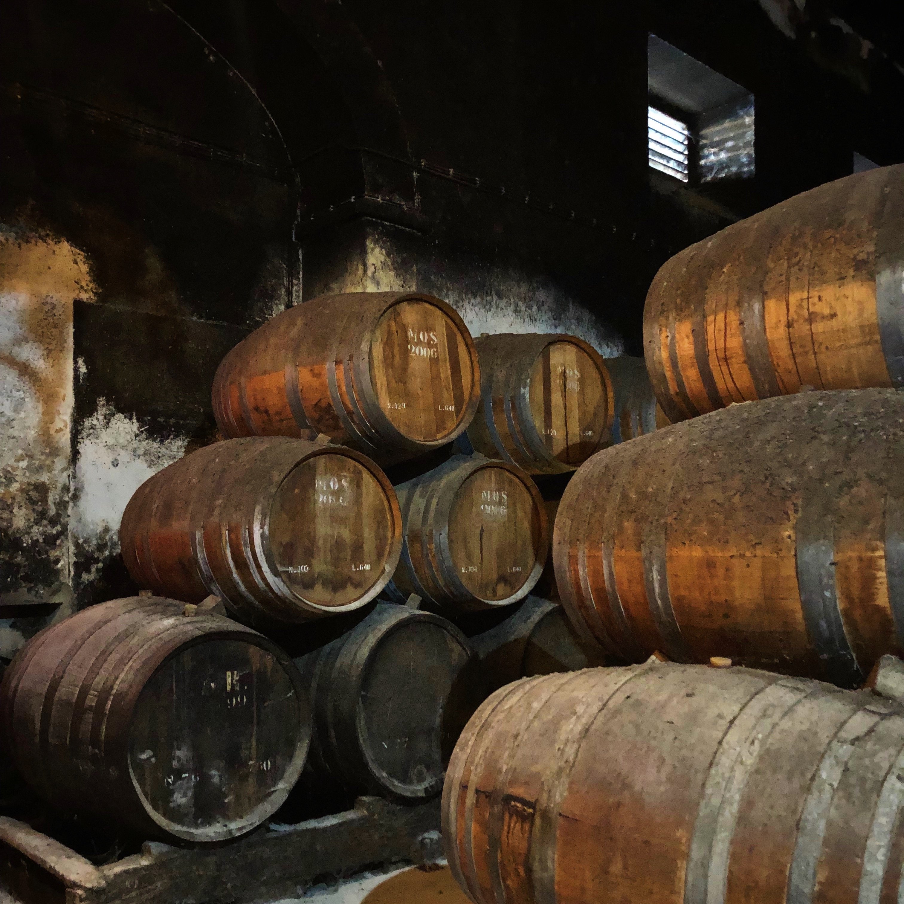 barrels with Moscatel ageing-1