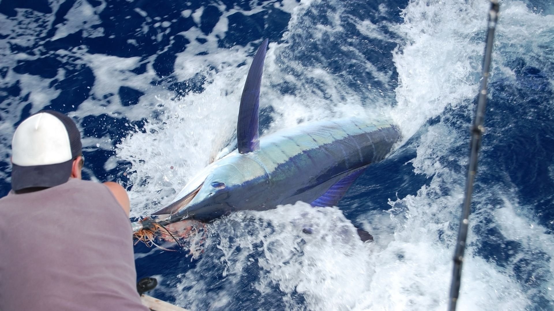 Big Game Fishing Madeira