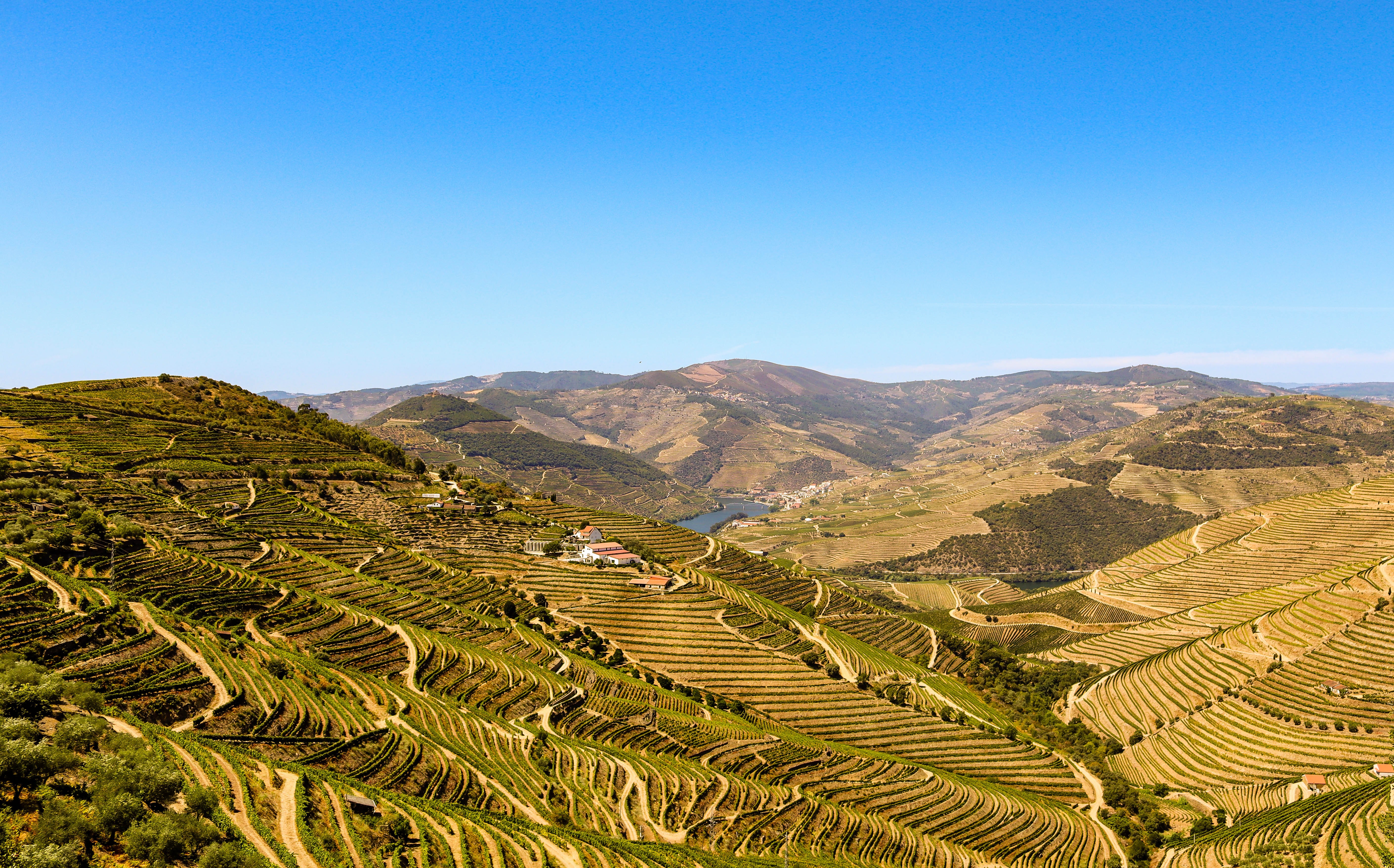 Douro Valley