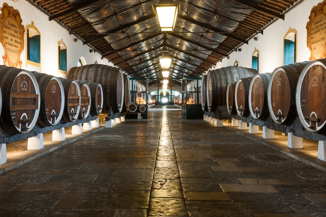 The Best of Wine Tourism in Portugal