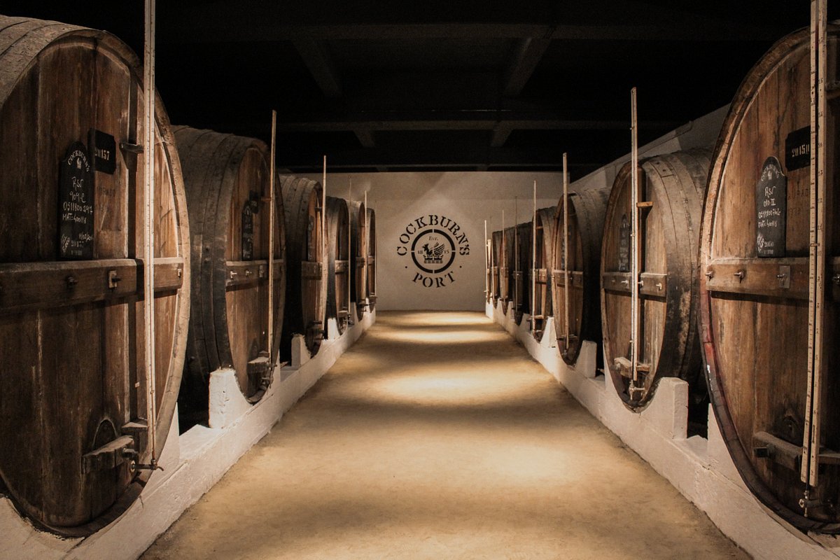 Discover the Best Wineries to visit in Portugal in 2023 