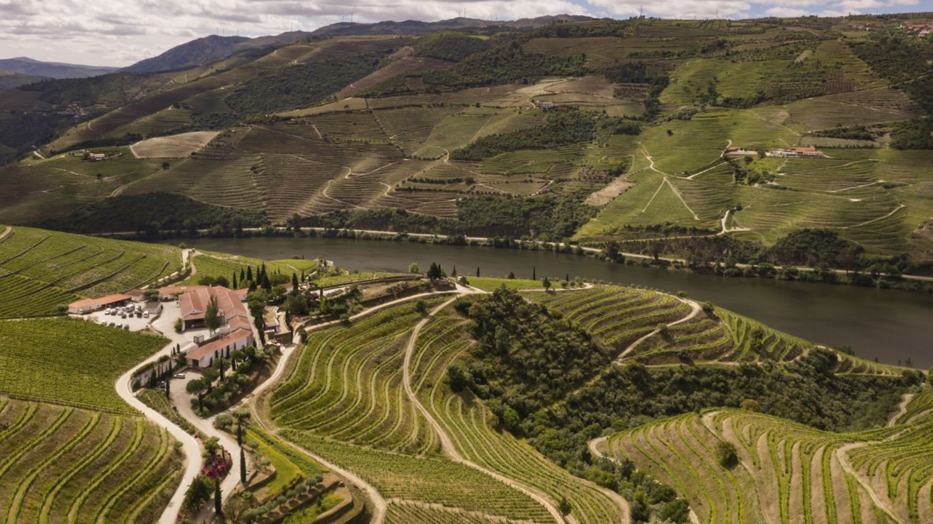 douro Valley (3)