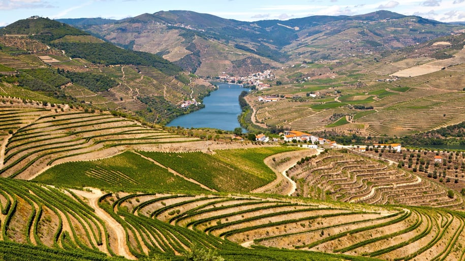Douro Valley