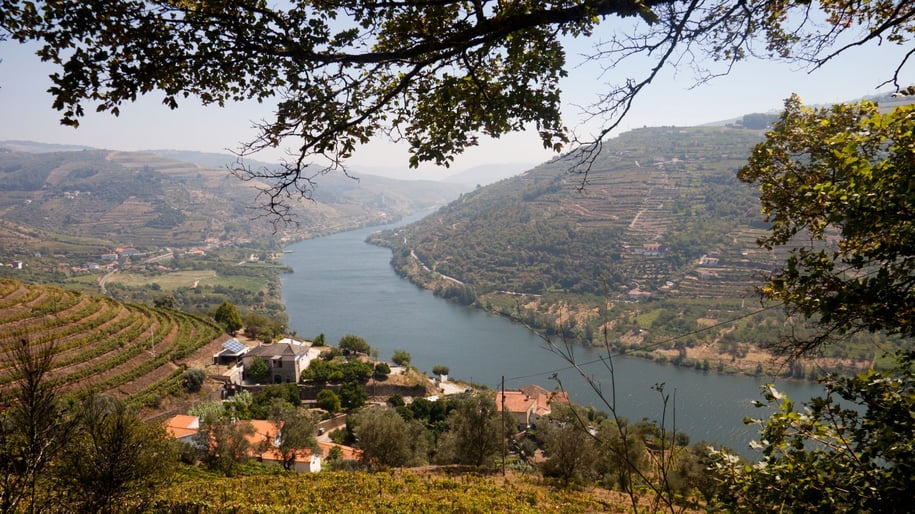 Douro Valley