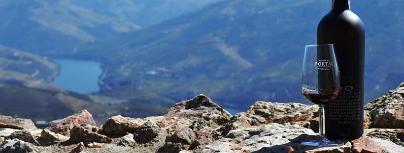 douro view-wine