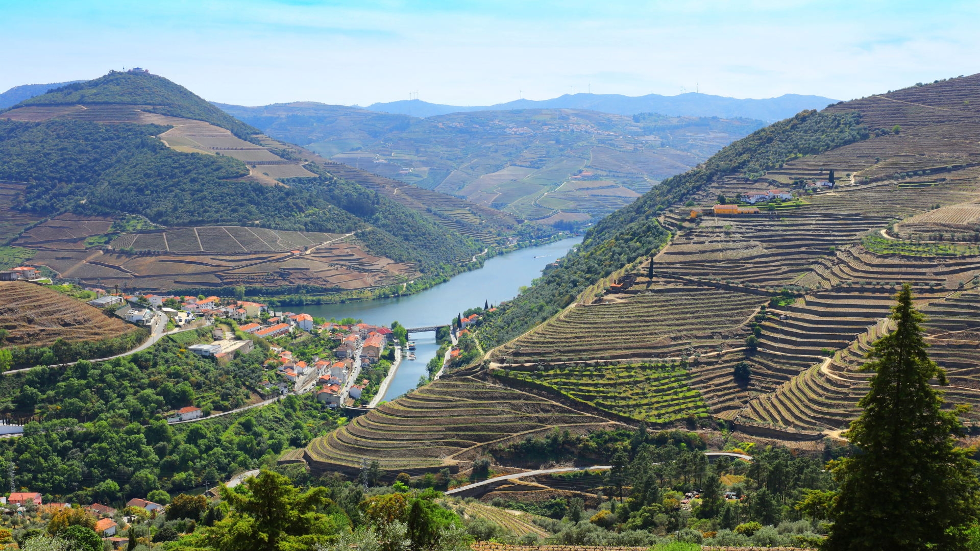 Douro Portugal