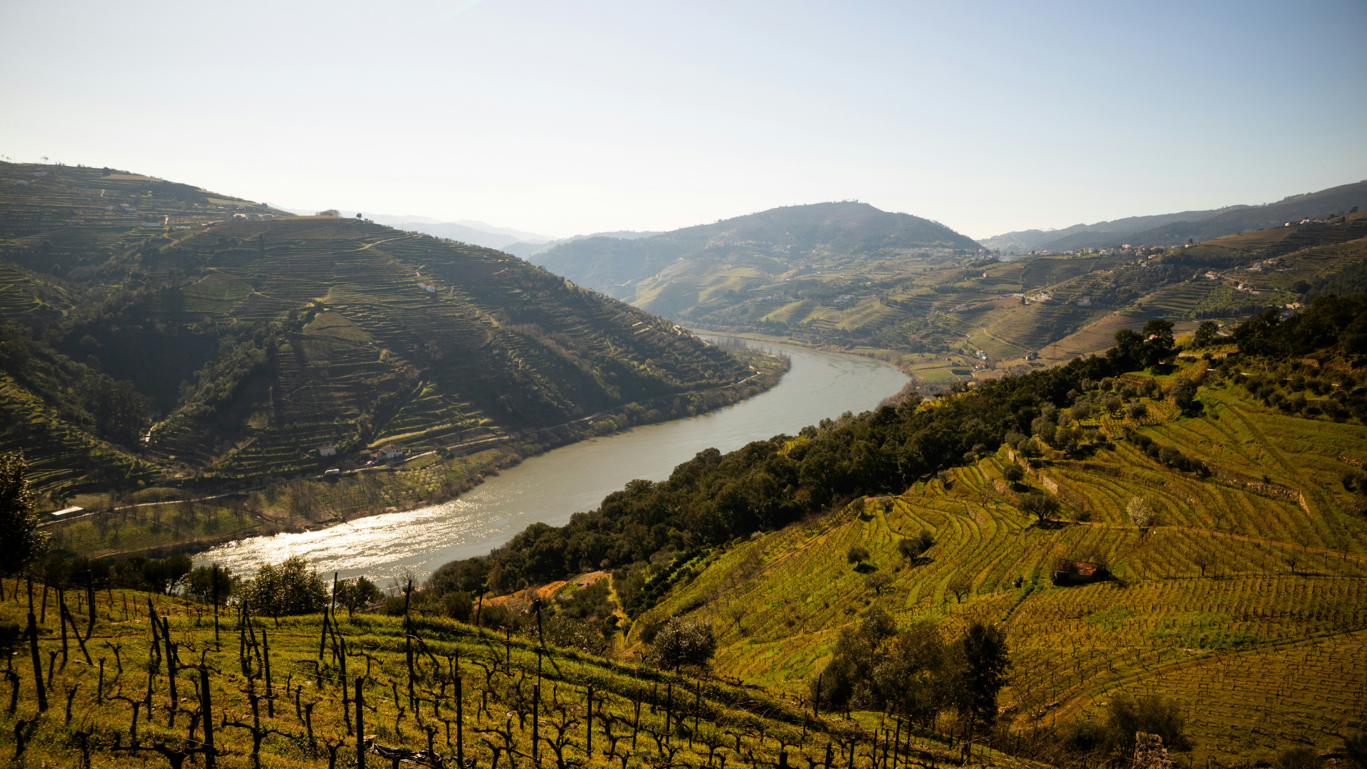 Douro Valley