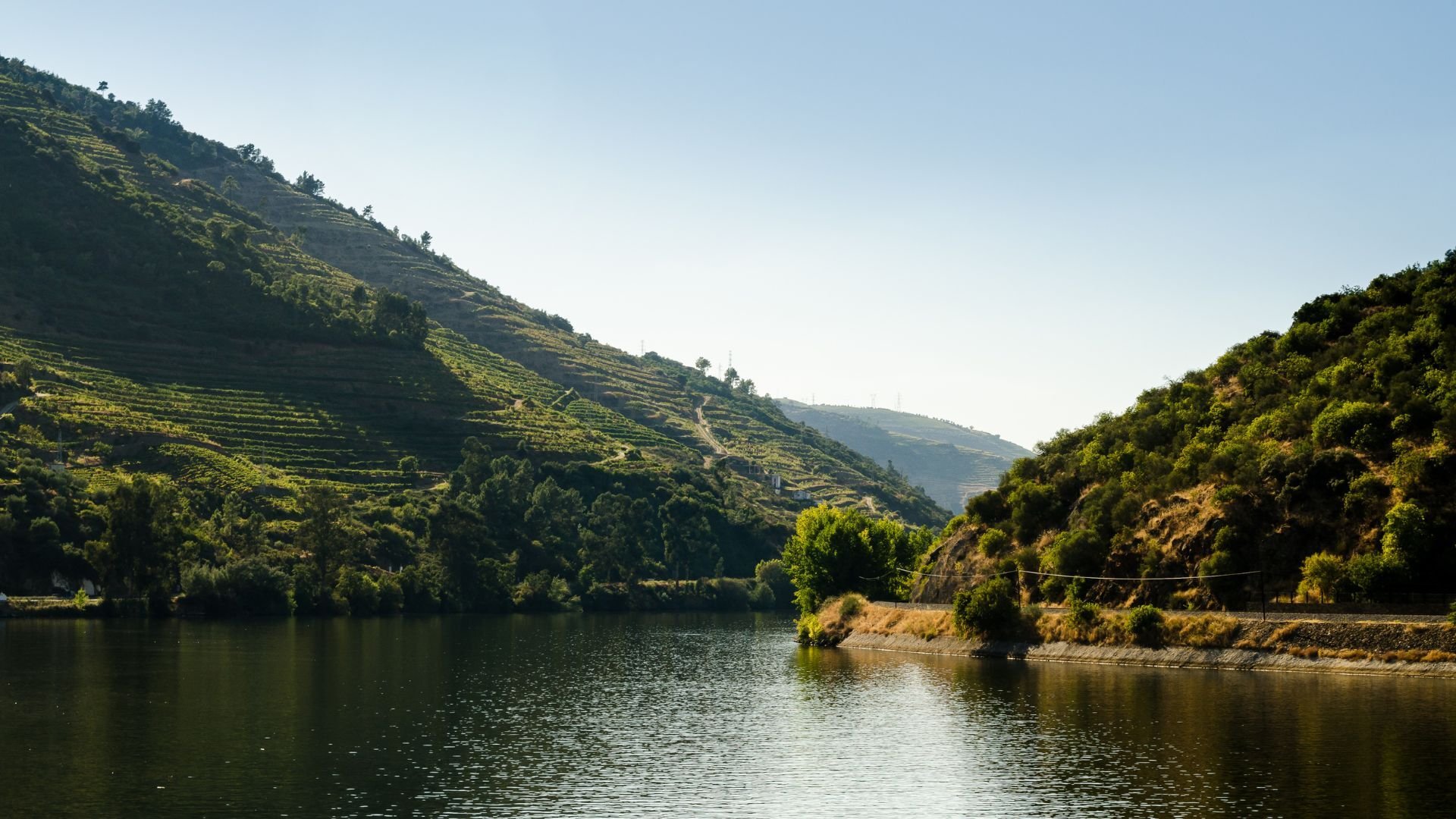 Douro Valley
