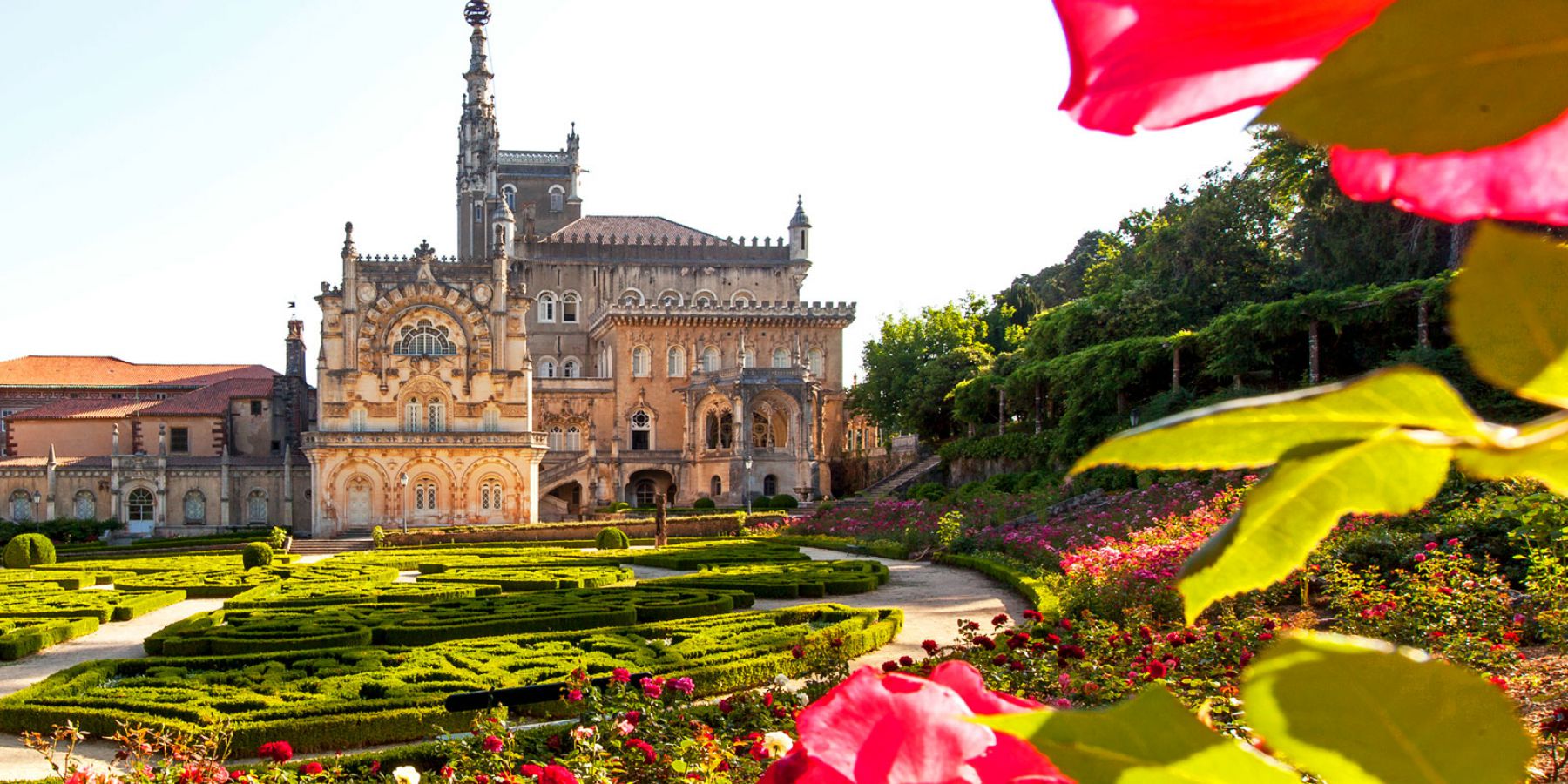 jardin-hotel-bussaco-alexandre-almeida