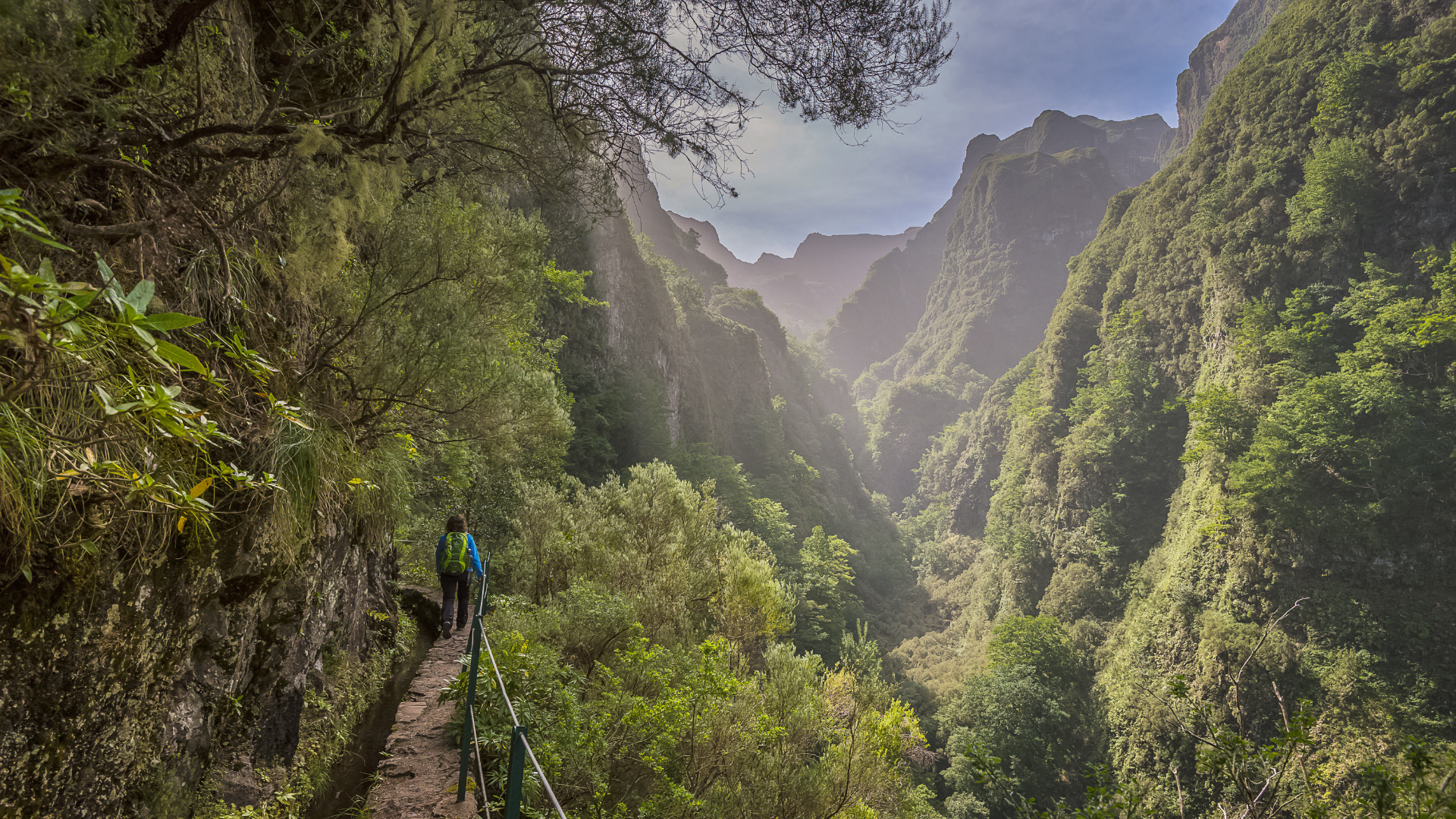 Levada Hiking Adventure