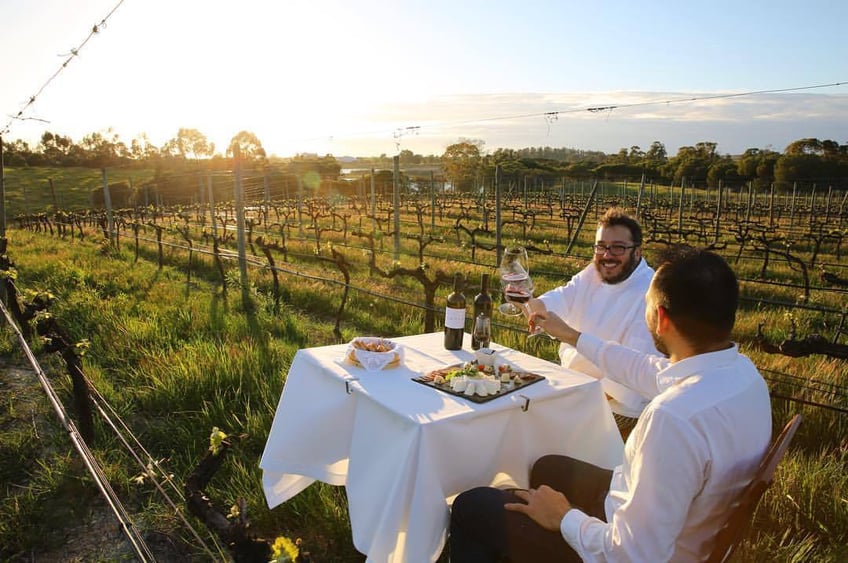 Herdade dos Grous Lunch in the Vineyard