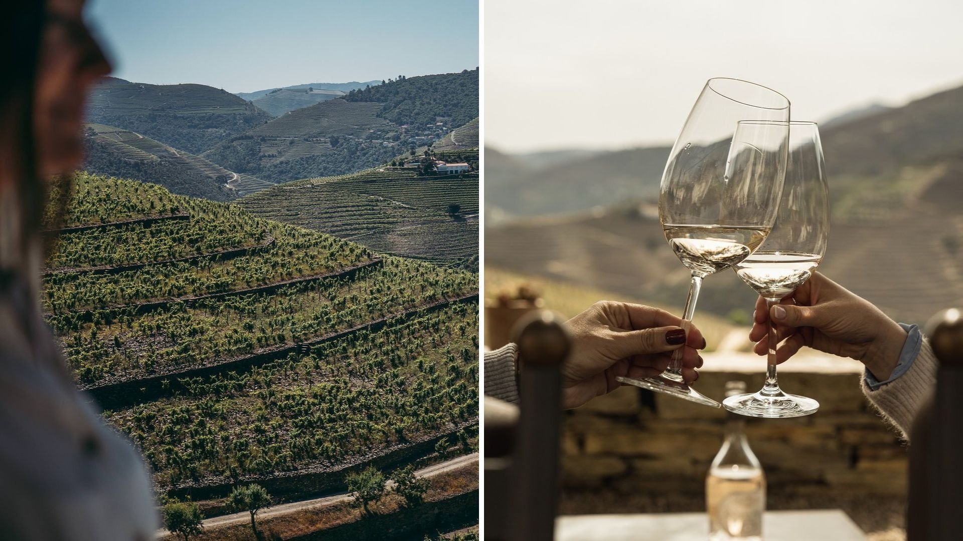 Winery of the Week: Quinta Nova